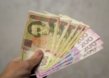 У Держстаті підрахували, наскільки збільшилася сума, призначена на субсидії