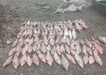 На Одещині спіймали браконьєрів | Надзвичайні події Одесса та область