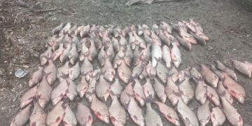 На Одещині спіймали браконьєрів | Надзвичайні події Одесса та область