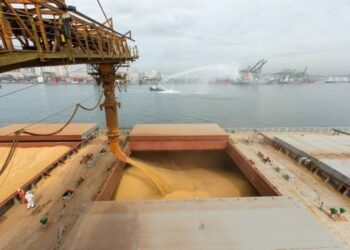 Нацистская россия заявила, что возобновляет свое участие в «зерновой инициативе»