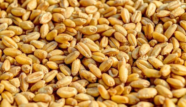 ООН та Туреччина погодили рух суден з портів Одещини на 31 жовтня — Новини Одеської області