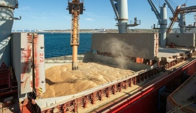 Понад 200 суден з українським зерном заблоковані у Чорному морі через росію — Новини Одеської області