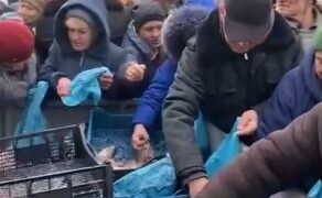 Промисловики Одещини відправили до Херсона півтонни риби | Надзвичайні події Одесса та область