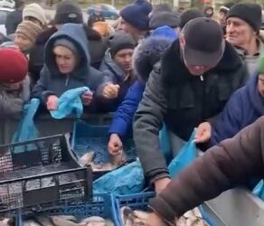 Промисловики Одещини відправили до Херсона півтонни риби | Надзвичайні події Одесса та область