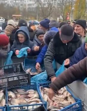 Промисловики Одещини відправили до Херсона півтонни риби | Надзвичайні події Одесса та область