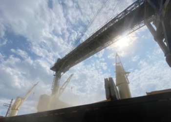 РФ погрожувала кораблям, які мали пройти «зерновим коридором». План зазнав фіаско