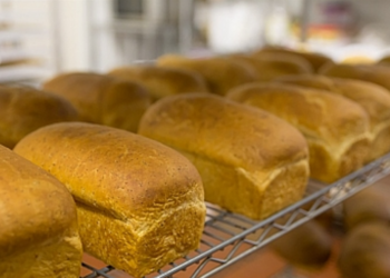 Сёла юга Одесской области могут остаться без хлеба из-за блэкаута