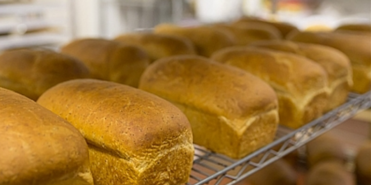 Сёла юга Одесской области могут остаться без хлеба из-за блэкаута