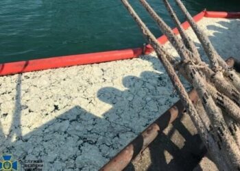 Судновласник сплатив 1 млн доларів за забруднення внутрішніх морських вод України — Новини Одеської області