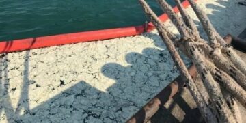 Судновласник сплатив 1 млн доларів за забруднення внутрішніх морських вод України — Новини Одеської області