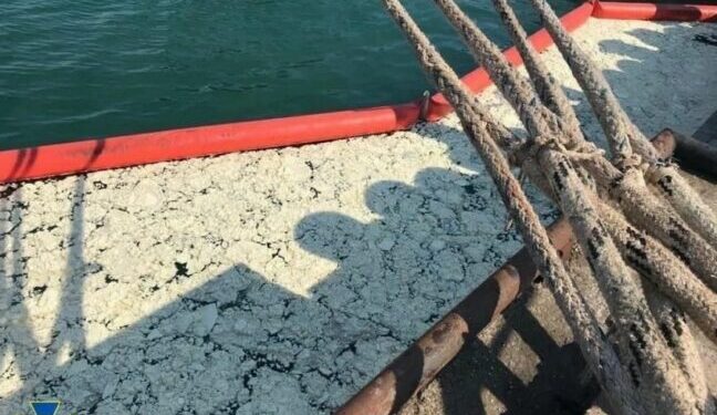 Судновласник сплатив 1 млн доларів за забруднення внутрішніх морських вод України — Новини Одеської області