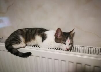 В Одесі розповіли про початок опалювального сезону | Одеський Кур’єр