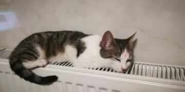 В Одесі розповіли про початок опалювального сезону | Одеський Кур’єр