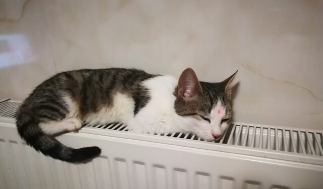 В Одесі розповіли про початок опалювального сезону | Одеський Кур’єр