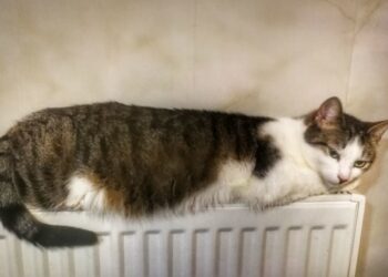 В Одесі відновлюють систему центрального опалення | Одеський Монітор