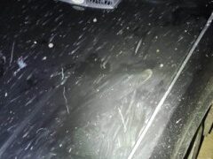 В Одеській області автомобіль на смерть збив пішохода | Надзвичайні події Одесса та область