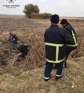 В Одеській області провели успішну рятувальну операцію | Надзвичайні події Одесса та область