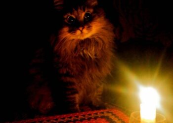 В Одесской области 27 октября снова вводятся стабилизационные отключения электроэнергии