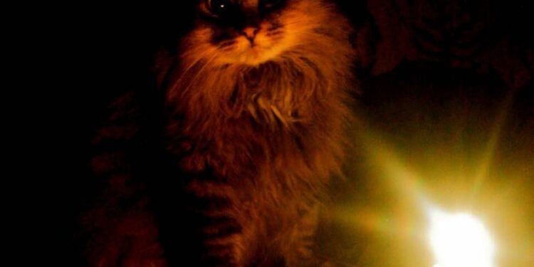 В Одесской области 27 октября снова вводятся стабилизационные отключения электроэнергии