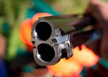 В Одесской области охотник подстрелил девочку