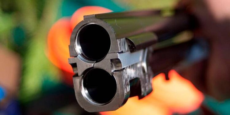 В Одесской области охотник подстрелил девочку