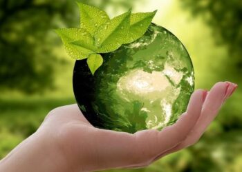 Заклади освіти Арцизької громади знову серед призерів