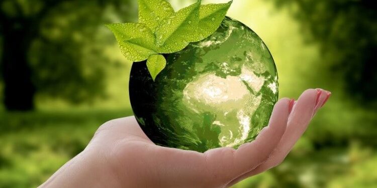 Заклади освіти Арцизької громади знову серед призерів