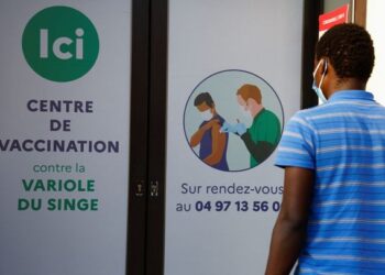 Вспышка оспы обезьян, возможно, достигла своего пика в Европе, и ее можно ликвидировать – ВОЗ