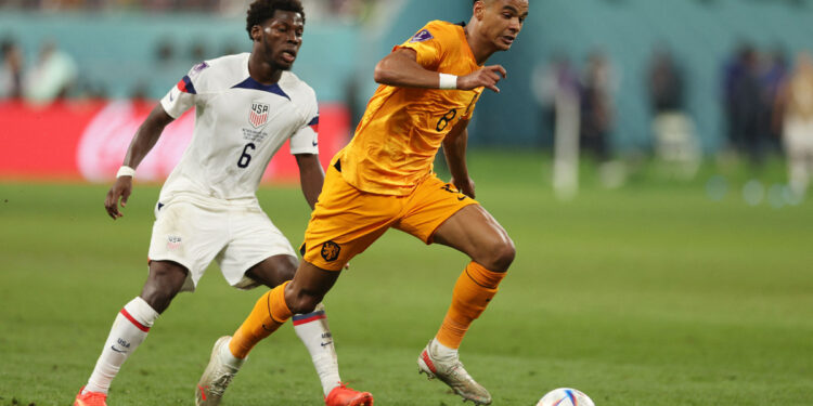 ЧМ-2022, 3 декабря, суббота. Результаты матчей дня. Нидерланды и Аргентина — первые четвертьфиналисты (3 декабря 2022 г.) — Новости футбола