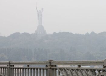 В Киевской области произошло возгорание торфа. Горожан просят закрыть окна