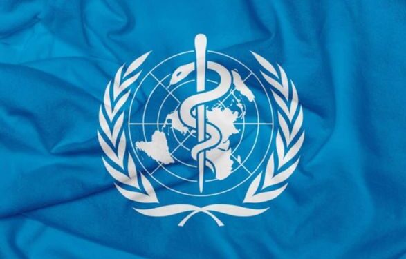 В ВОЗ сообщили новую стастиску оспы обезьян: детали