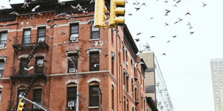 Нью-Йорк змінює будівельні норми через масову загибель птахів