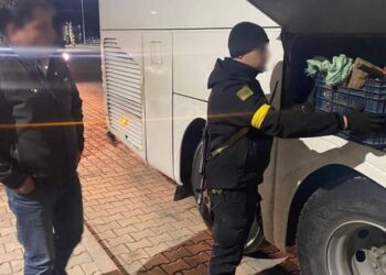 Через кордон на Ізмаїльщині намагались вивезти майже 20 кг коштовного каміння