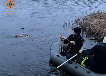 На Кіровоградщині рятувальники дістали з водойми тіло потопельника, — ДСНС  | Кримінальні новини