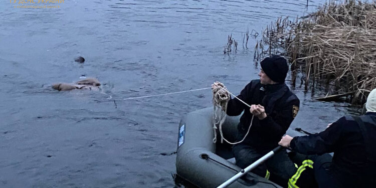 На Кіровоградщині рятувальники дістали з водойми тіло потопельника, — ДСНС  | Кримінальні новини