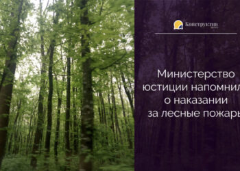 Министерство юстиции напомнило о наказании за лесные пожары — Суспільство Одеси