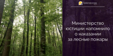 Министерство юстиции напомнило о наказании за лесные пожары — Суспільство Одеси