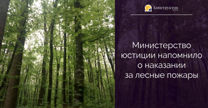 Министерство юстиции напомнило о наказании за лесные пожары — Суспільство Одеси