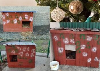 На Одещині будують незвичайні домівки для безхатніх собак | Надзвичайні події Одесса та область