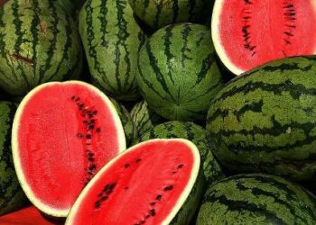 На Одещині чоловік жорстоко побив односельців через підозру у крадіжці кавунів | Надзвичайні події Одесса та область