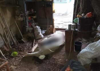 На Одещині чоловіка підозрюють у вбивстві рідного брата — Новини Одеської області