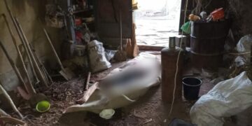 На Одещині чоловіка підозрюють у вбивстві рідного брата — Новини Одеської області