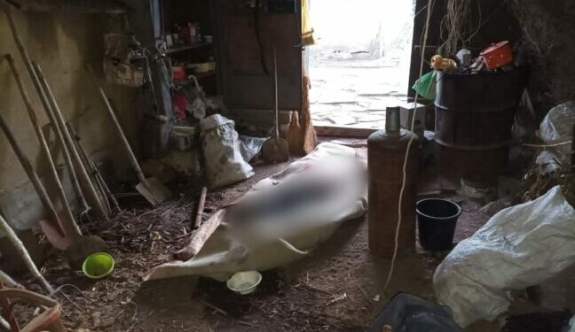 На Одещині чоловіка підозрюють у вбивстві рідного брата — Новини Одеської області