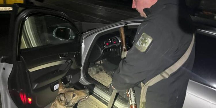 Прикордонники Ізмаїльського загону за допомогою службової вівчарки виявили наркотичну річовину в автомобілі, який вїзджав до України
