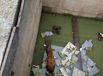 В Одесі провели успішну рятувальну операцію | Надзвичайні події Одесса та область