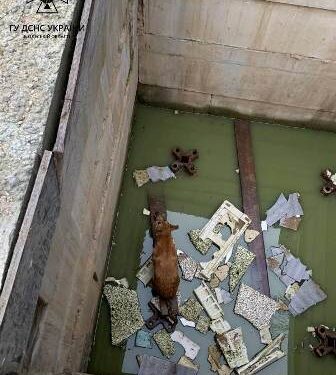 В Одесі провели успішну рятувальну операцію | Надзвичайні події Одесса та область