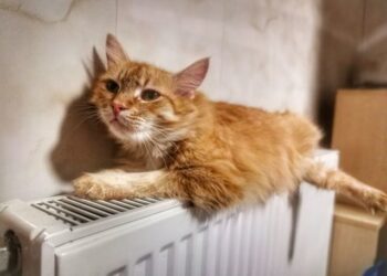 В Одесі відновлюють центральне опалення | Одеський Монітор