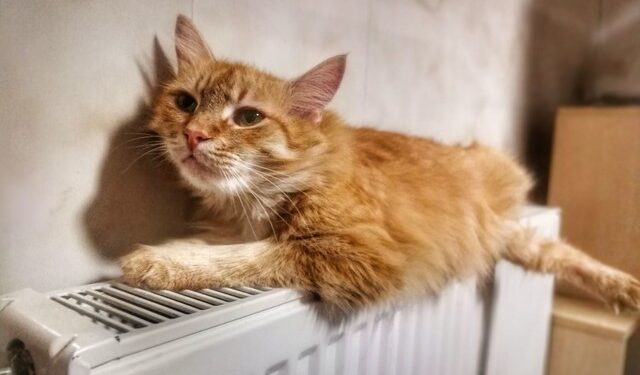 В Одесі відновлюють центральне опалення | Одеський Монітор