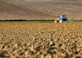 В Одеській області створено понад 50 нових фермерських господарств — Новини Одеської області