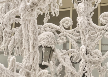 В Україну йдуть 15-градусні морози — Укргідрометцентр